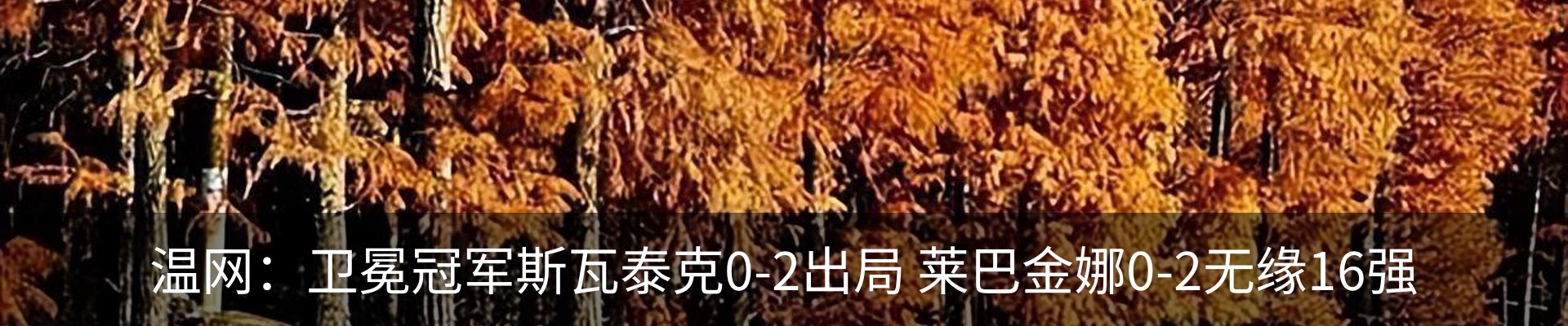 新闻中心